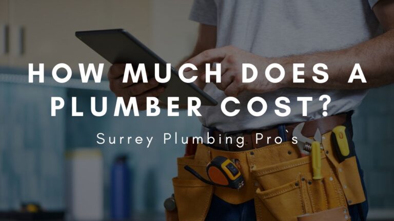 how-much-does-a-plumber-cost-surrey-plumbing-pro-s